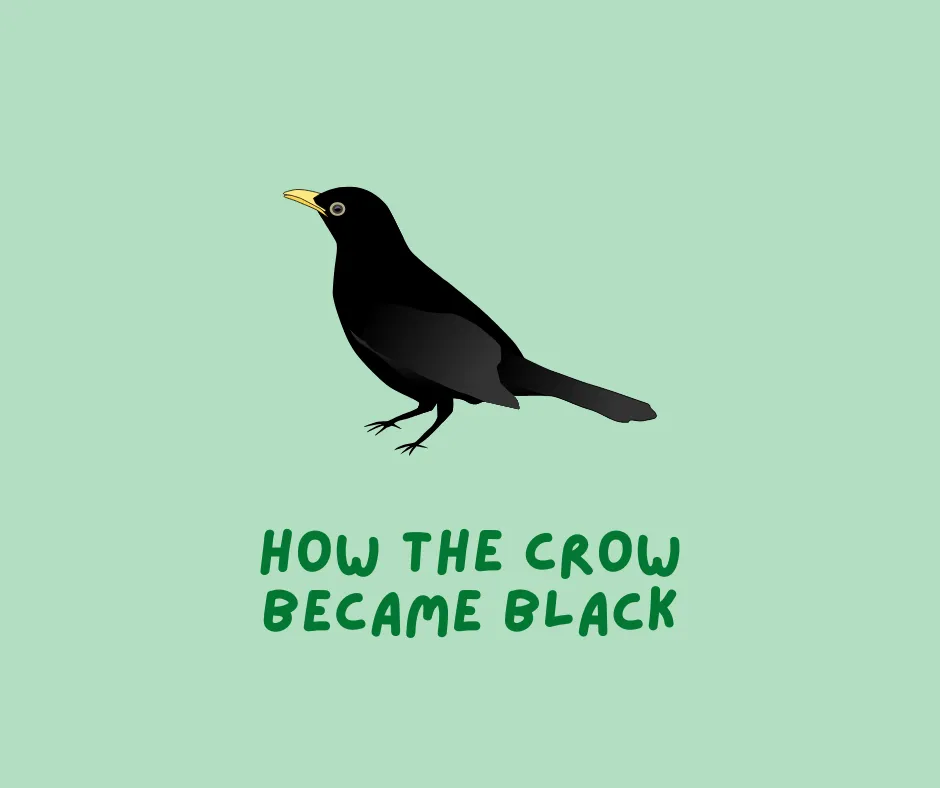 How the Crow became Black banner