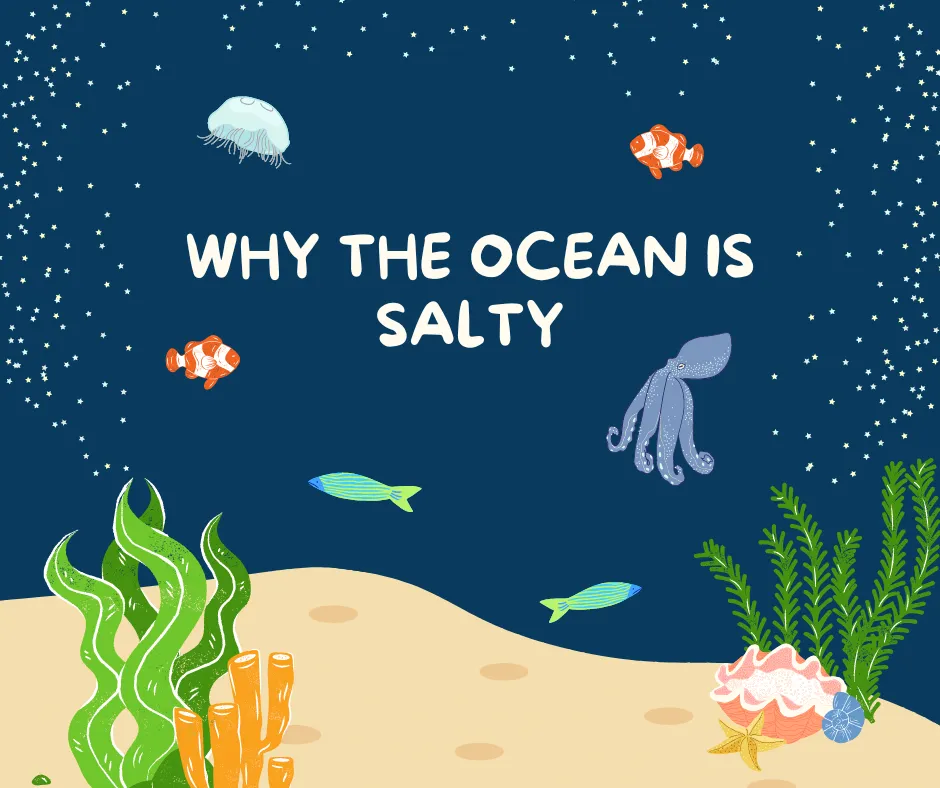 Why the Ocean is Salty banner